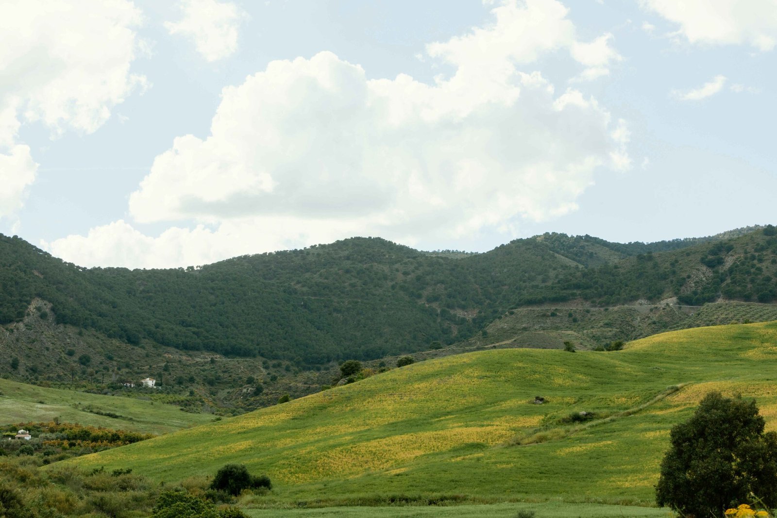 Property In Rishikesh